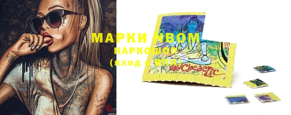 шишки Рославль