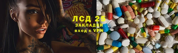 мдпв Бородино