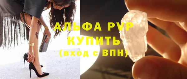 мдпв Бородино