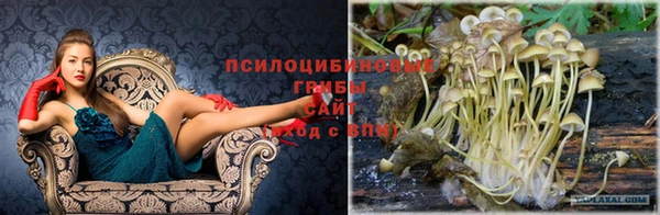 мдпв Бородино